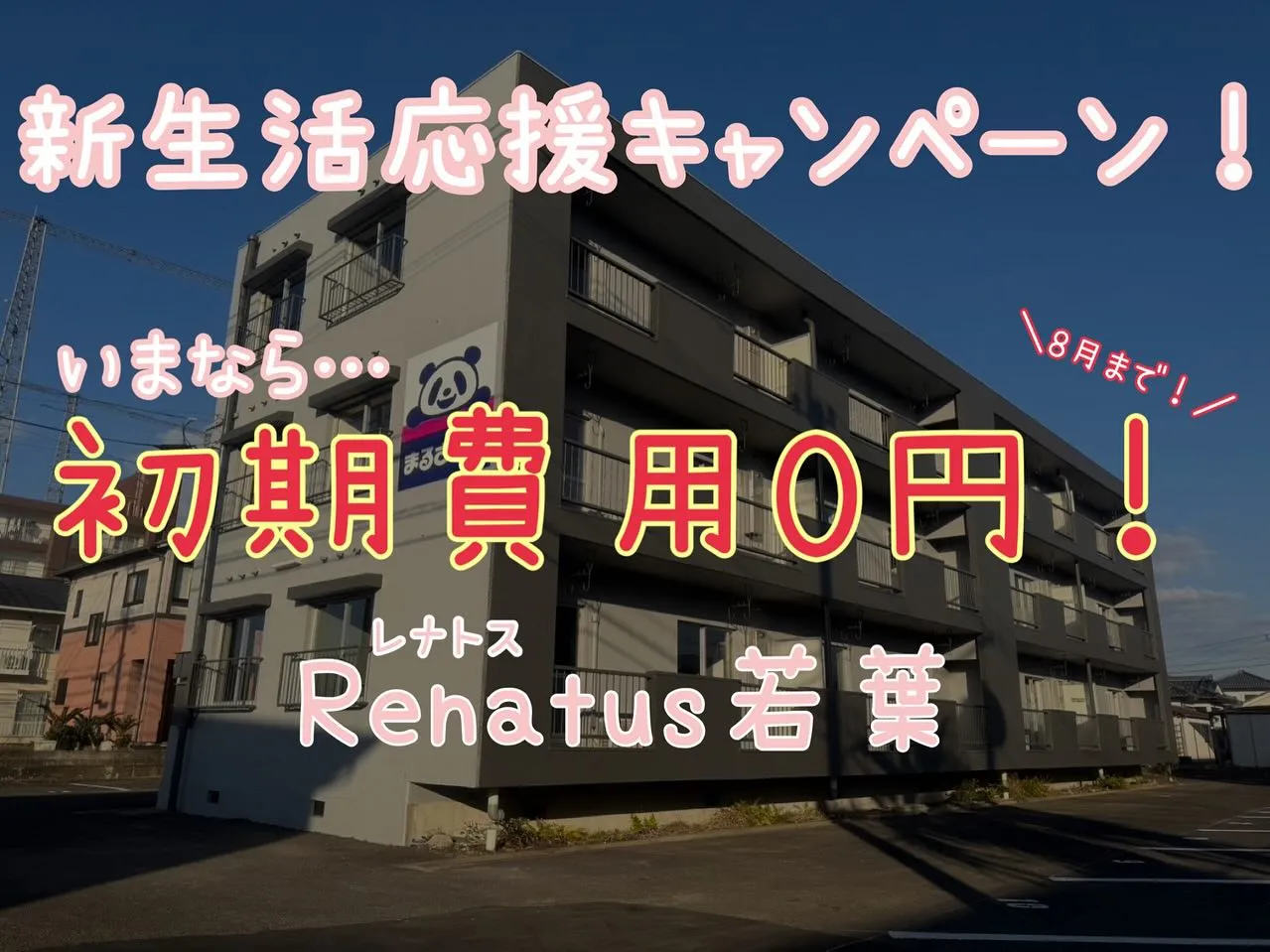 賃貸キャンペーンのご紹介⭐️