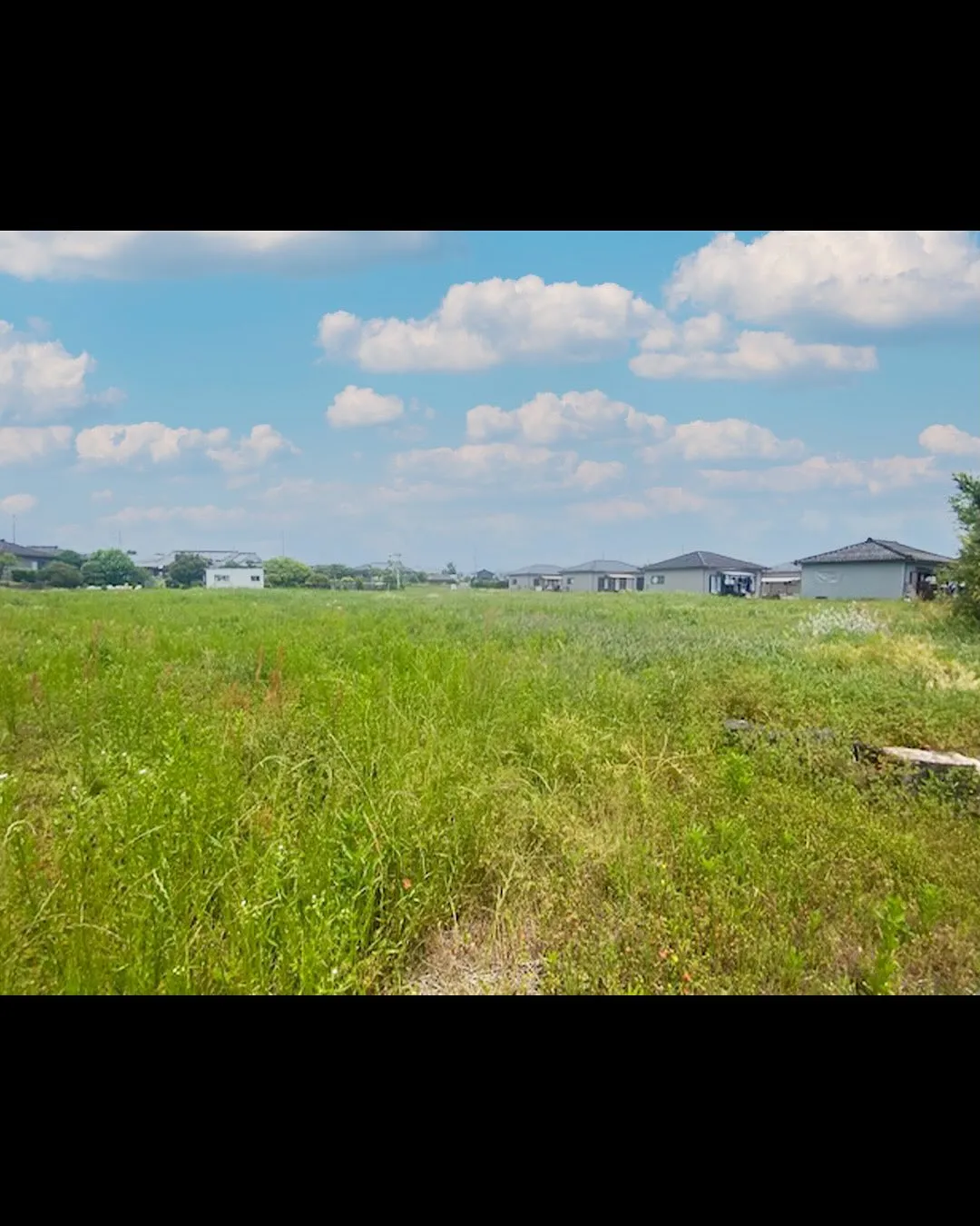 高城町大出手の土地のご紹介です🐼