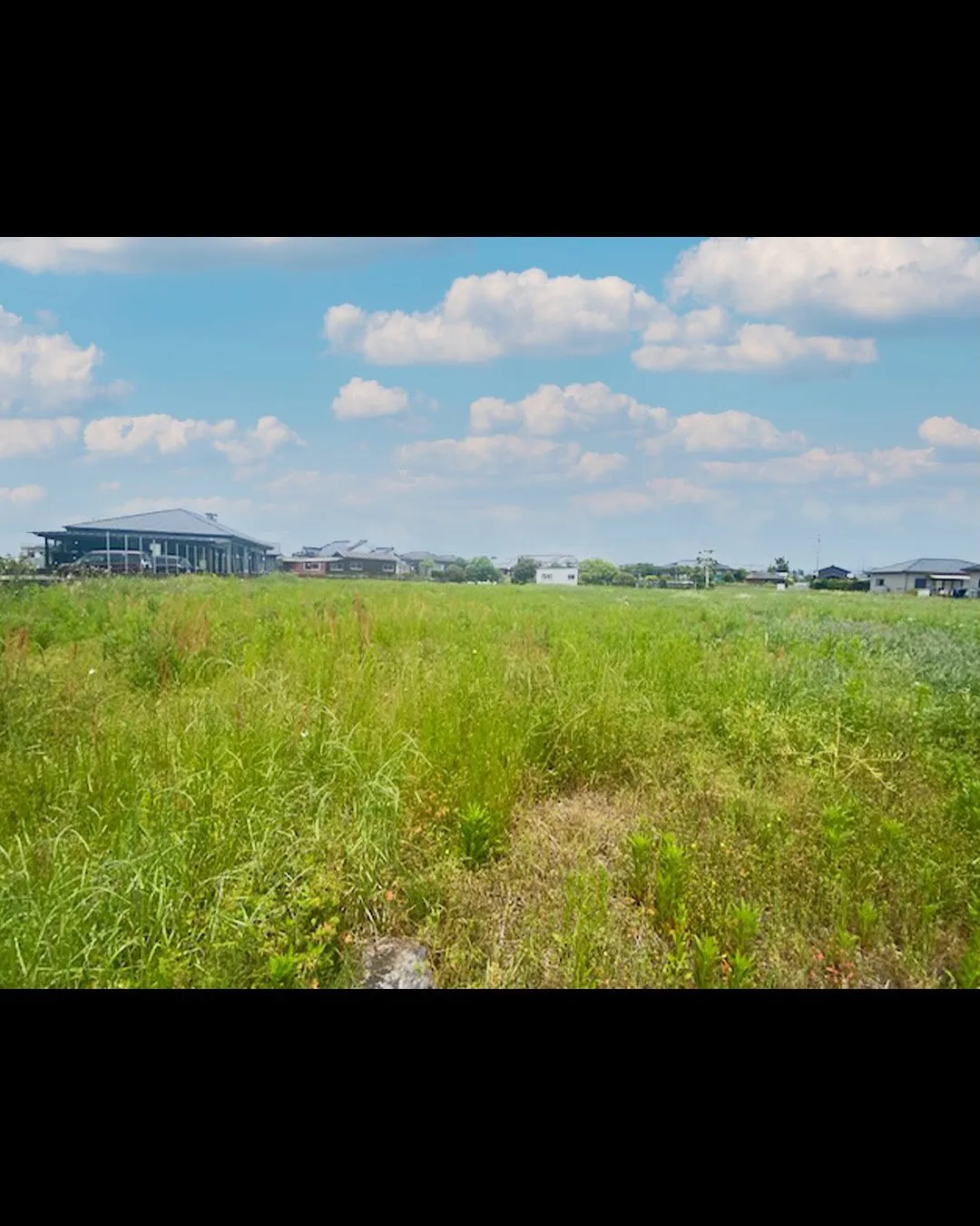 高城町大出手の土地のご紹介です🐼