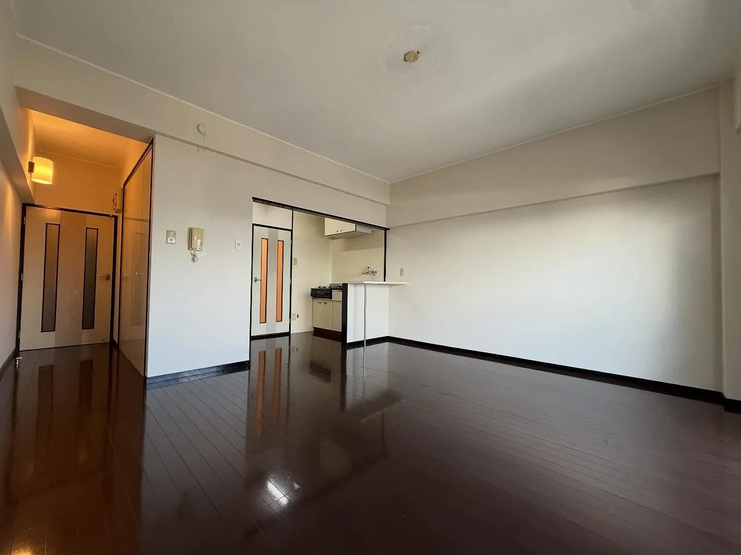 今年もやります！