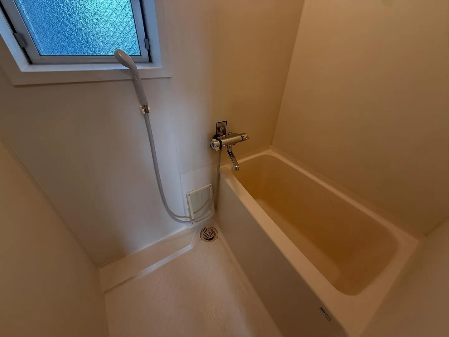 今年もやります！