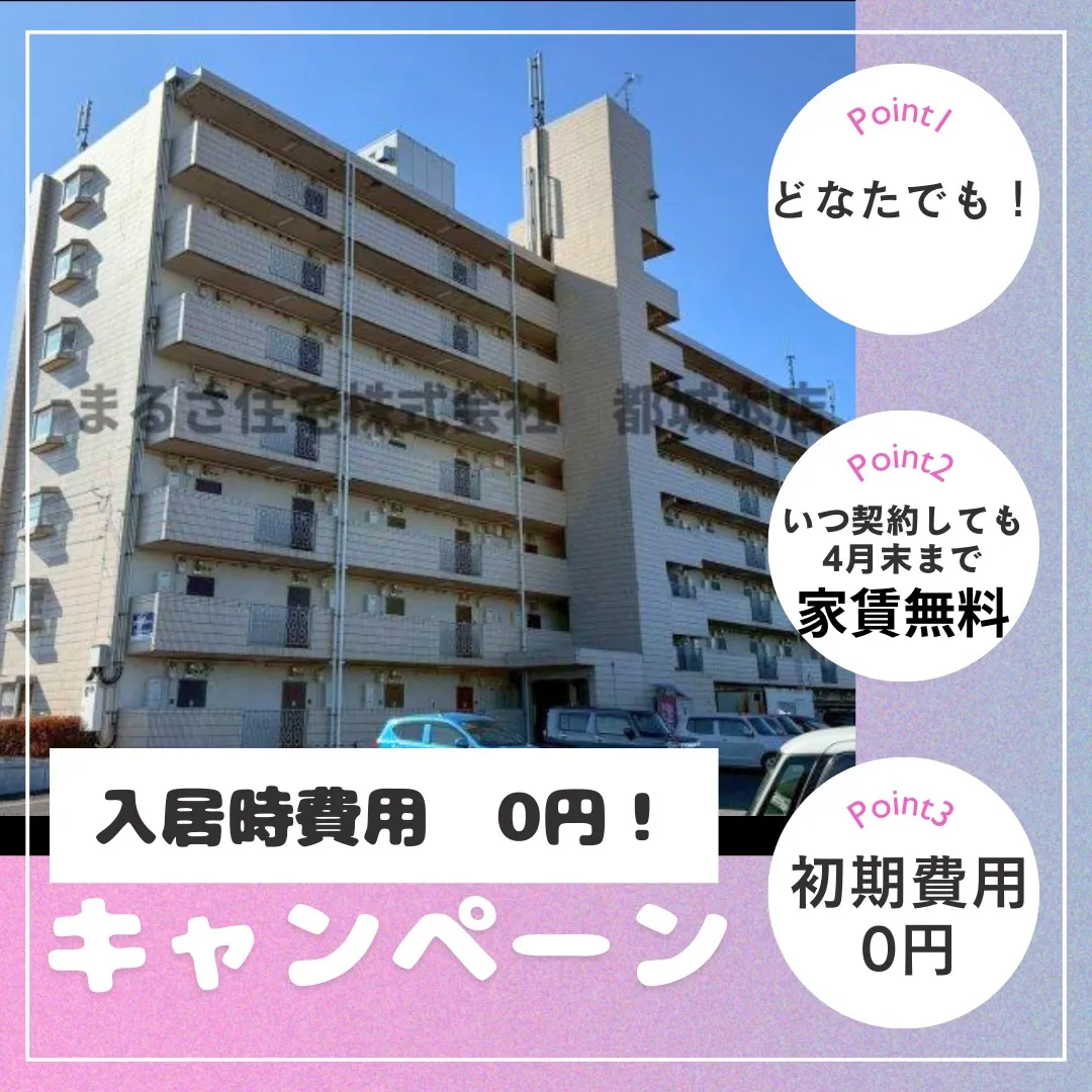 《初期費用0円！キャンペーン》